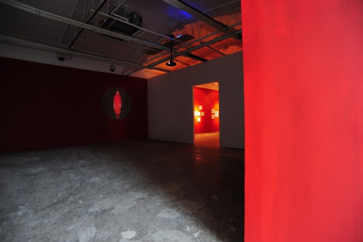 WANG Jianwei & Nalini MALANI: Himalayas Project