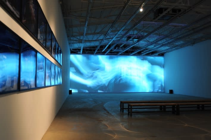 WANG Jianwei & Nalini MALANI: Himalayas Project