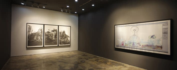 MIAO Xiaochun: Microcosm