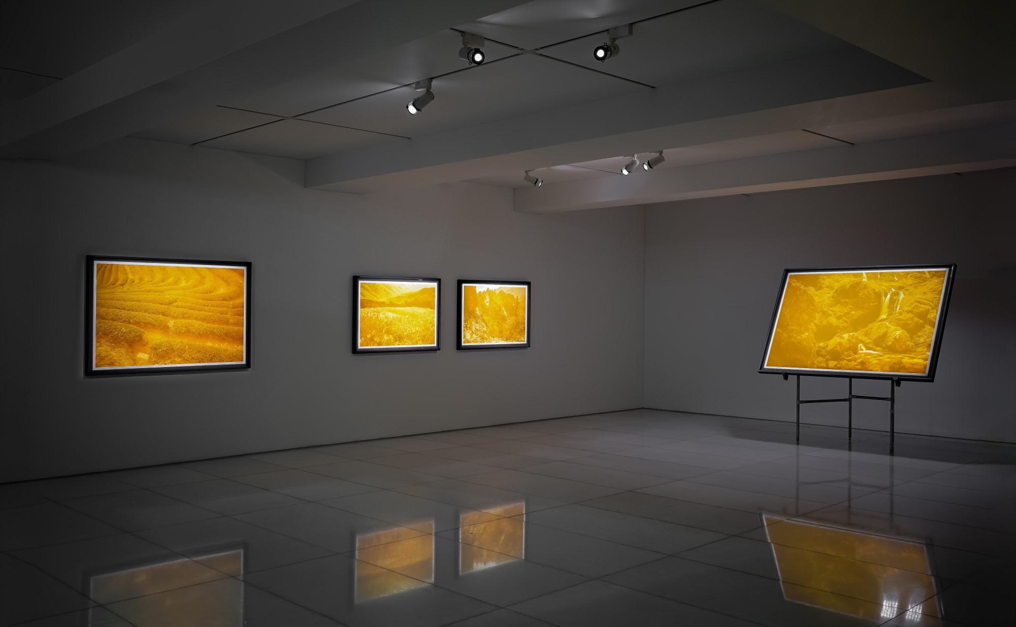 BEAK Jungki: All in One