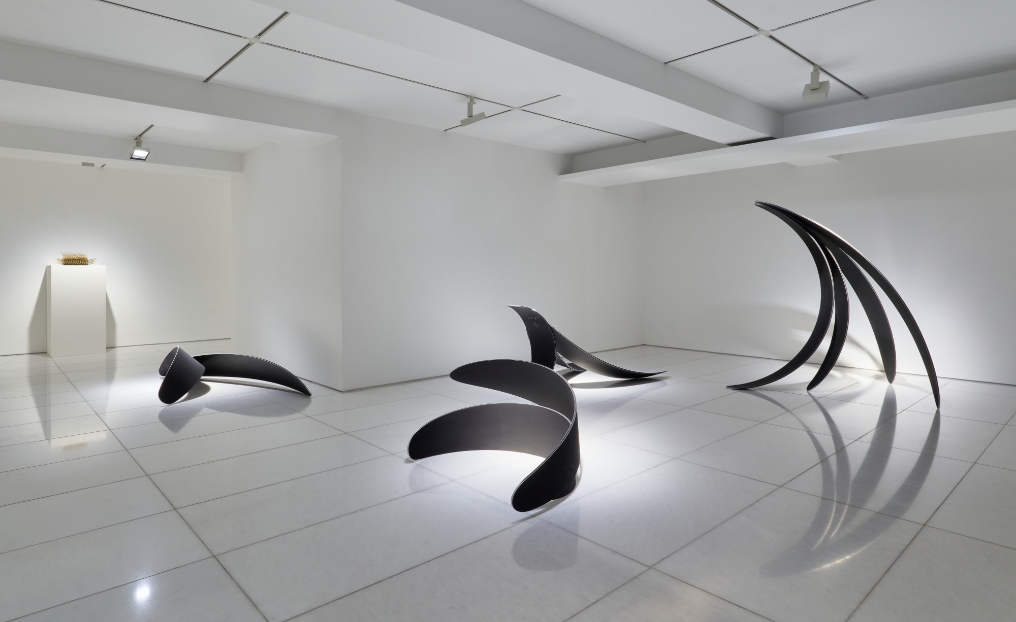 KIM Byoungho: Lost in Garden