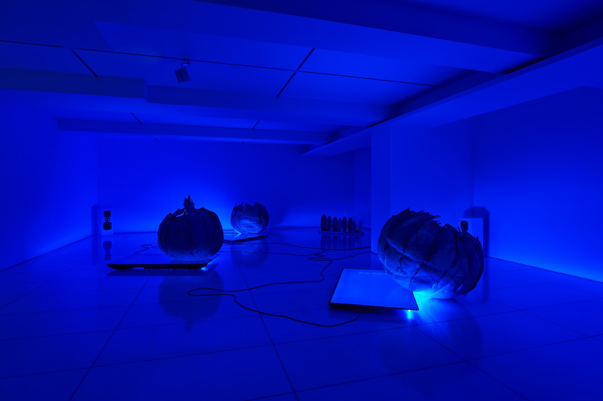 Yohan HÀN: Métissage