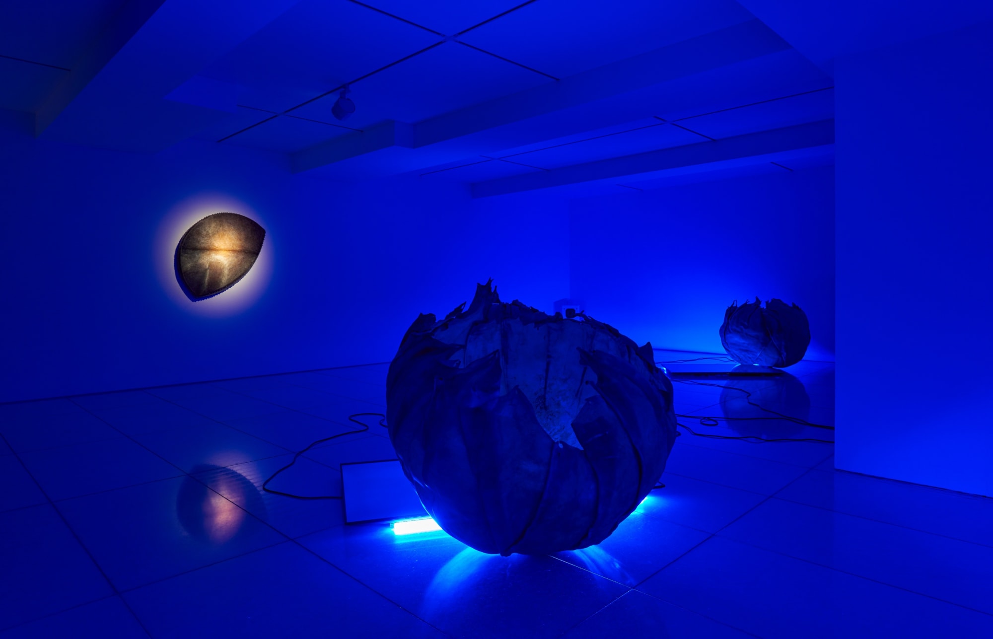 Yohan HÀN: Métissage