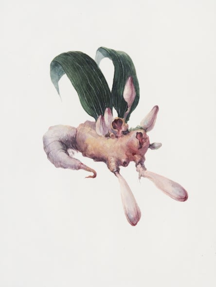 Ruby Unkyung HUR: Botanimal Garden