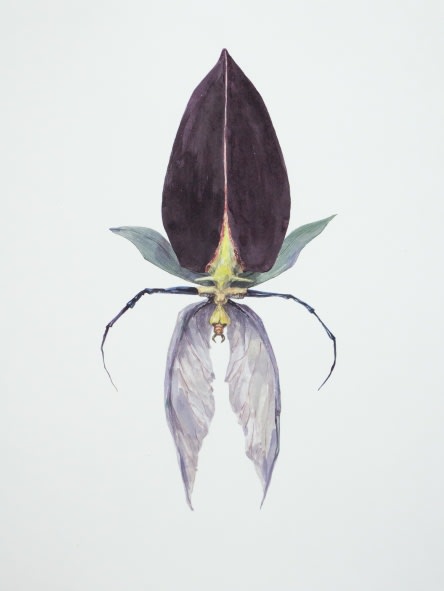 Ruby Unkyung HUR: Botanimal Garden