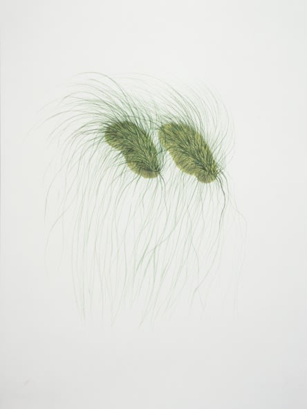 Ruby Unkyung HUR: Botanimal Garden
