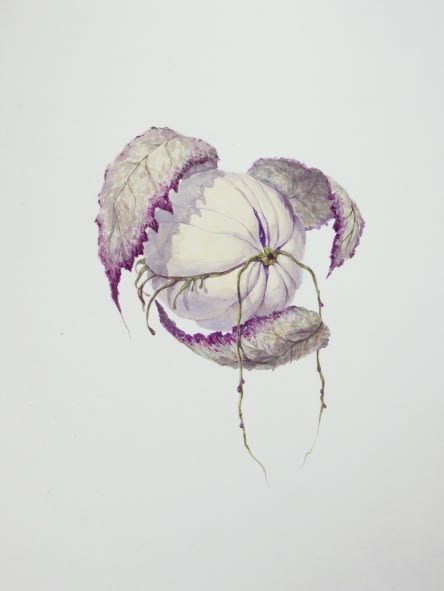 Ruby Unkyung HUR: Botanimal Garden