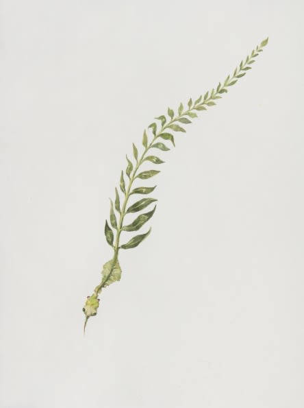 Ruby Unkyung HUR: Botanimal Garden