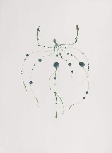 Ruby Unkyung HUR: Botanimal Garden