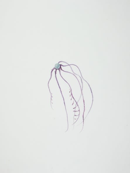 Ruby Unkyung HUR: Botanimal Garden