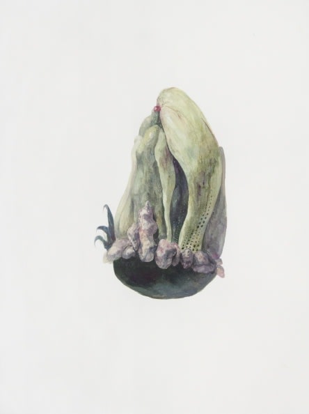 Ruby Unkyung HUR: Botanimal Garden