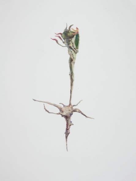 Ruby Unkyung HUR: Botanimal Garden