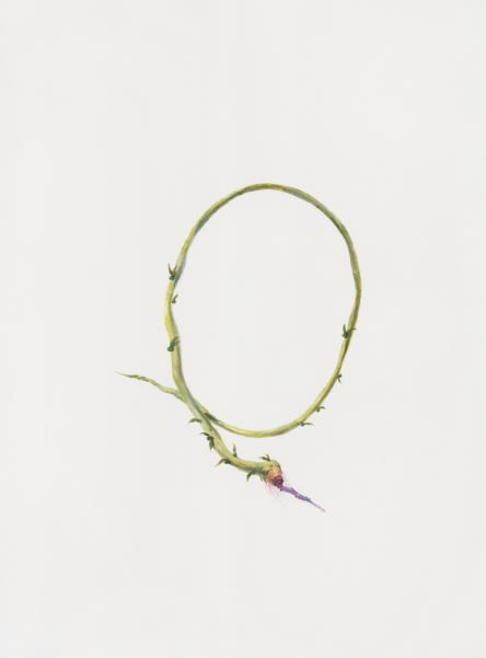 Ruby Unkyung HUR: Botanimal Garden