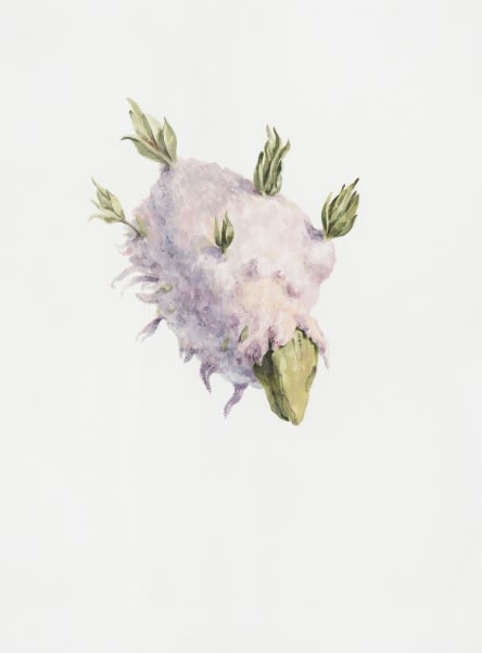 Ruby Unkyung HUR: Botanimal Garden