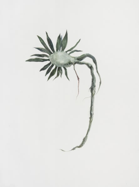 Ruby Unkyung HUR: Botanimal Garden