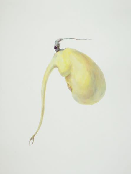 Ruby Unkyung HUR: Botanimal Garden