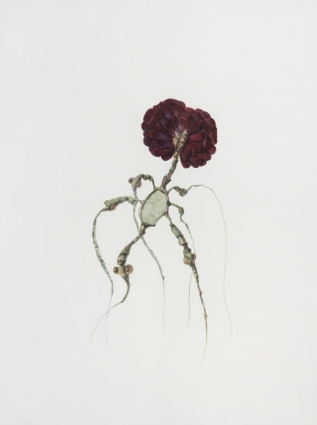 Ruby Unkyung HUR: Botanimal Garden