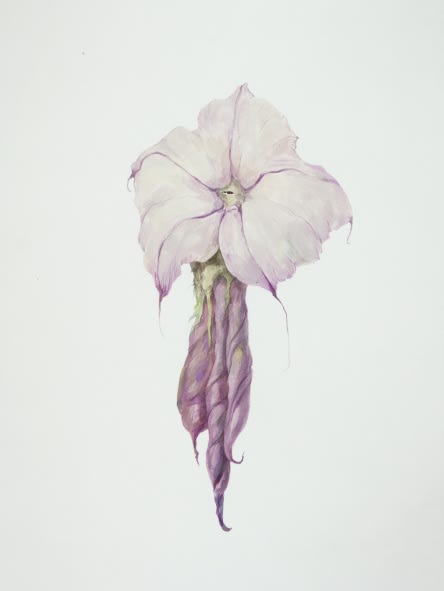 Ruby Unkyung HUR: Botanimal Garden