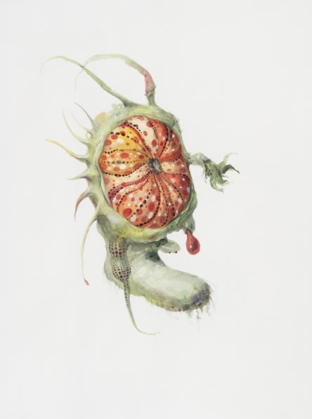 Ruby Unkyung HUR: Botanimal Garden