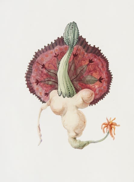 Ruby Unkyung HUR: Botanimal Garden