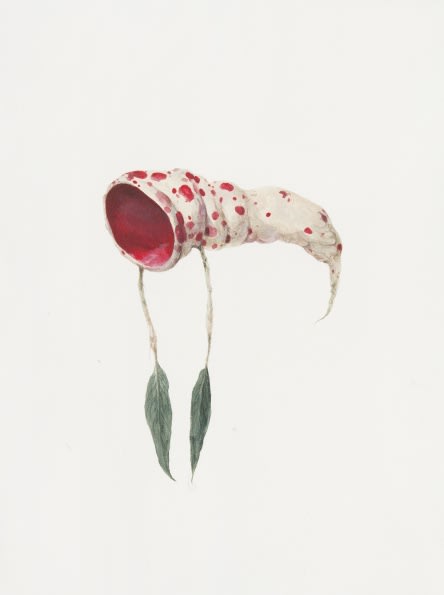 Ruby Unkyung HUR: Botanimal Garden