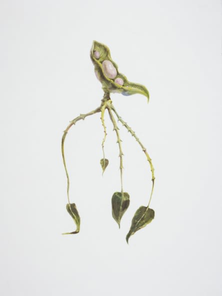 Ruby Unkyung HUR: Botanimal Garden