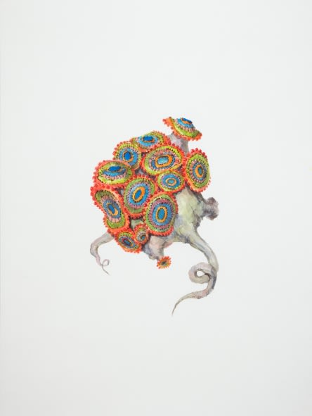 Ruby Unkyung HUR: Botanimal Garden