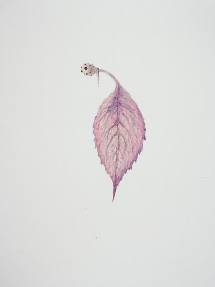 Ruby Unkyung HUR: Botanimal Garden