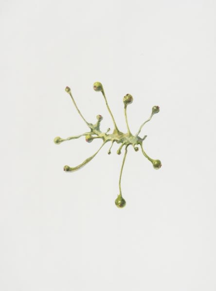 Ruby Unkyung HUR: Botanimal Garden