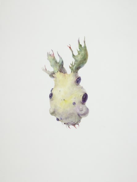 Ruby Unkyung HUR: Botanimal Garden