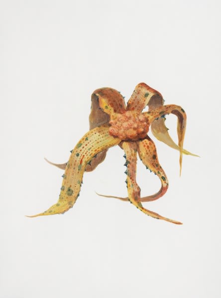 Ruby Unkyung HUR: Botanimal Garden