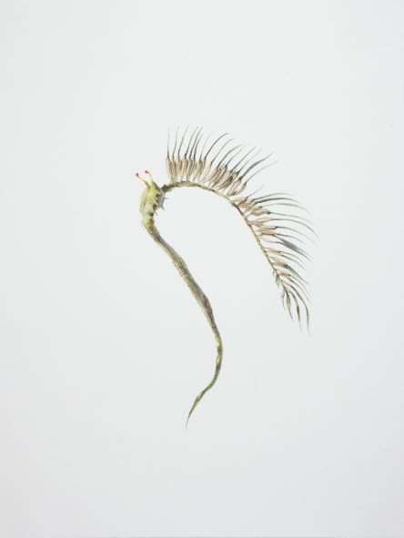 Ruby Unkyung HUR: Botanimal Garden