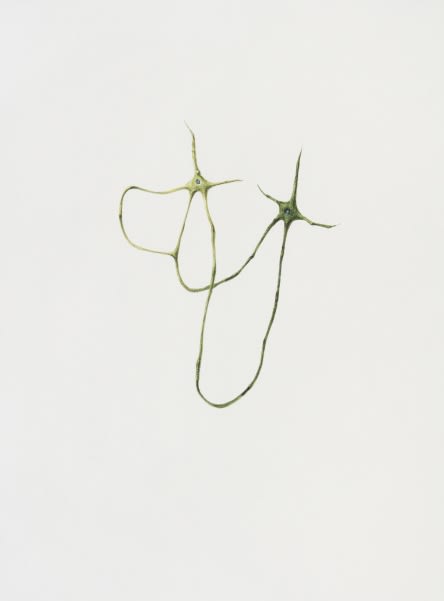 Ruby Unkyung HUR: Botanimal Garden