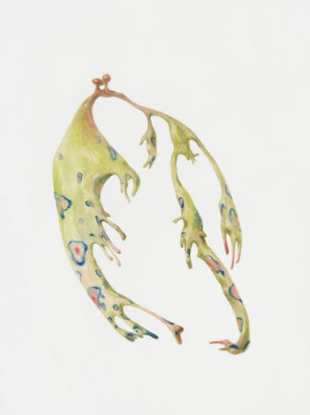 Ruby Unkyung HUR: Botanimal Garden