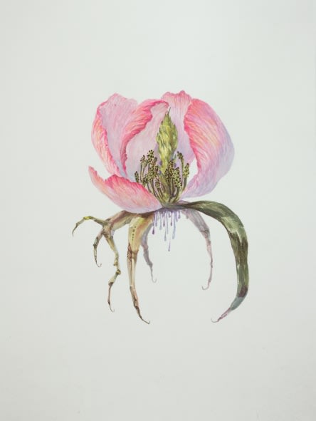 Ruby Unkyung HUR: Botanimal Garden