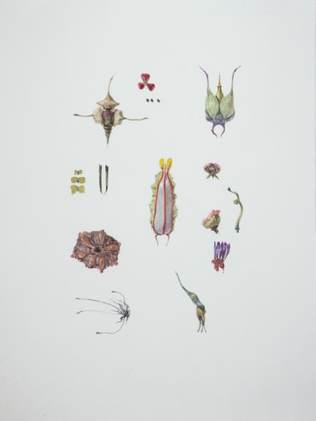 Ruby Unkyung HUR: Botanimal Garden