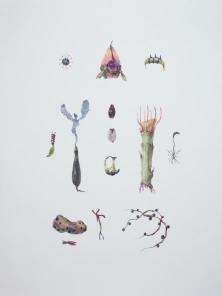 Ruby Unkyung HUR: Botanimal Garden