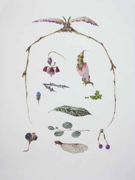 Ruby Unkyung HUR: Botanimal Garden