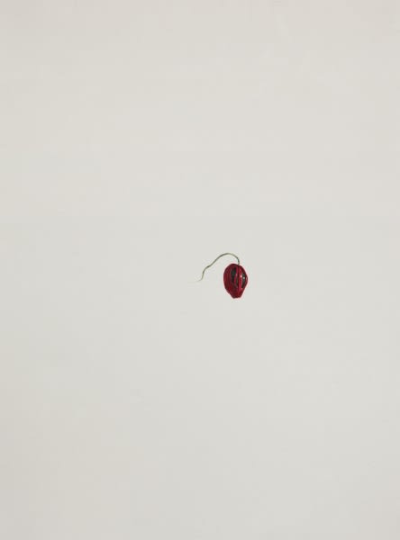 Ruby Unkyung HUR: Botanimal Garden