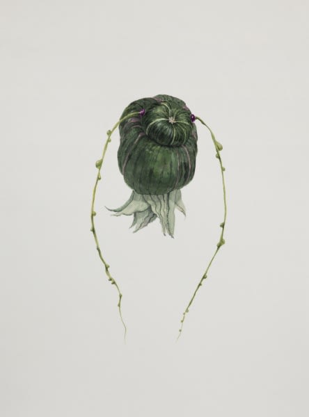 Ruby Unkyung HUR: Botanimal Garden