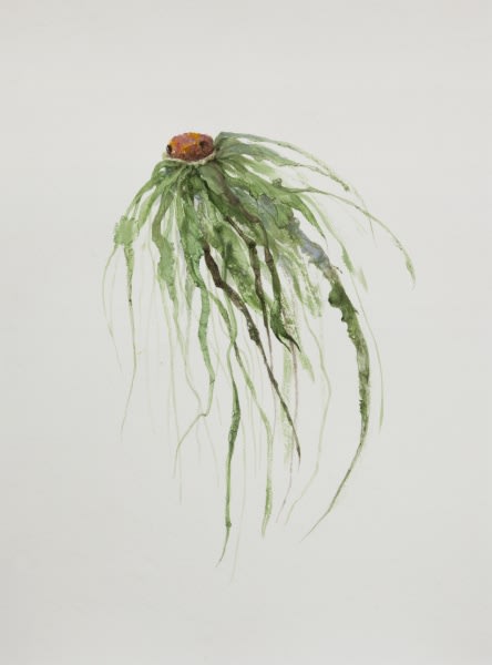 Ruby Unkyung HUR: Botanimal Garden