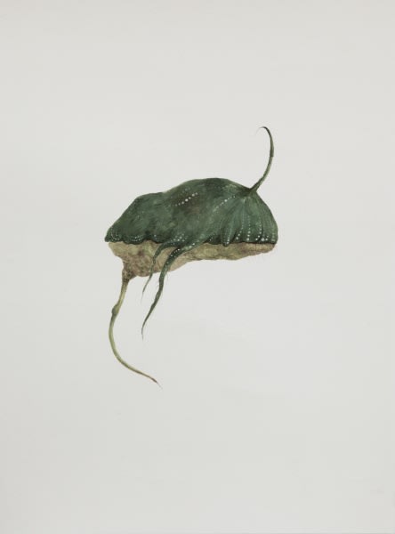 Ruby Unkyung HUR: Botanimal Garden