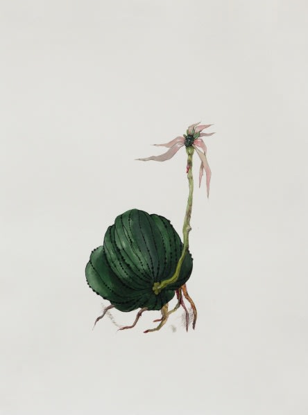 Ruby Unkyung HUR: Botanimal Garden