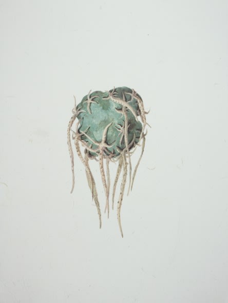 Ruby Unkyung HUR: Botanimal Garden