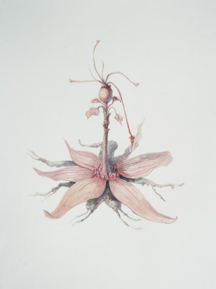 Ruby Unkyung HUR: Botanimal Garden
