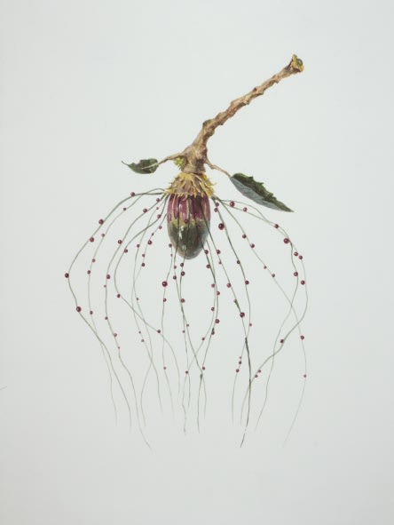 Ruby Unkyung HUR: Botanimal Garden