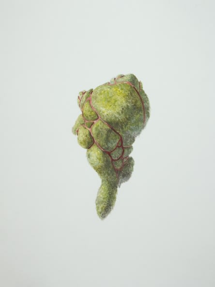 Ruby Unkyung HUR: Botanimal Garden