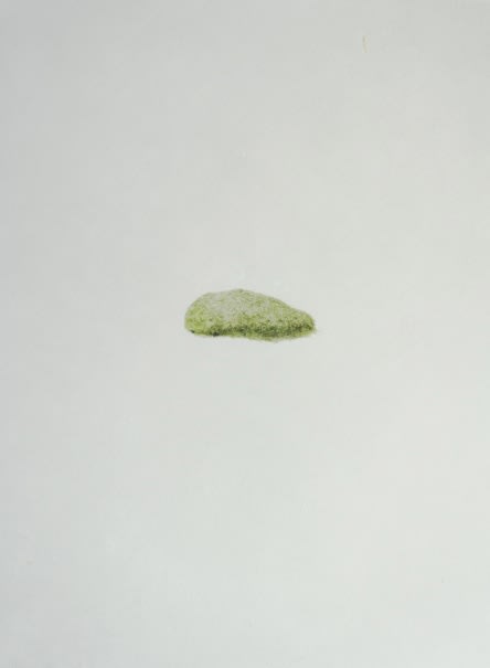 Ruby Unkyung HUR: Botanimal Garden