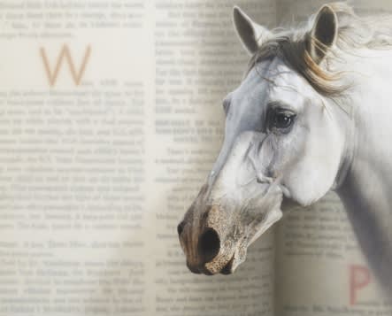 LEE SUKJU, SPACE CONTEMPLATION, 2016