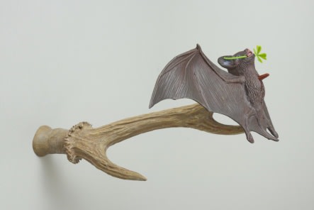 JANG JONGWAN, FROM FUTURE, 2017